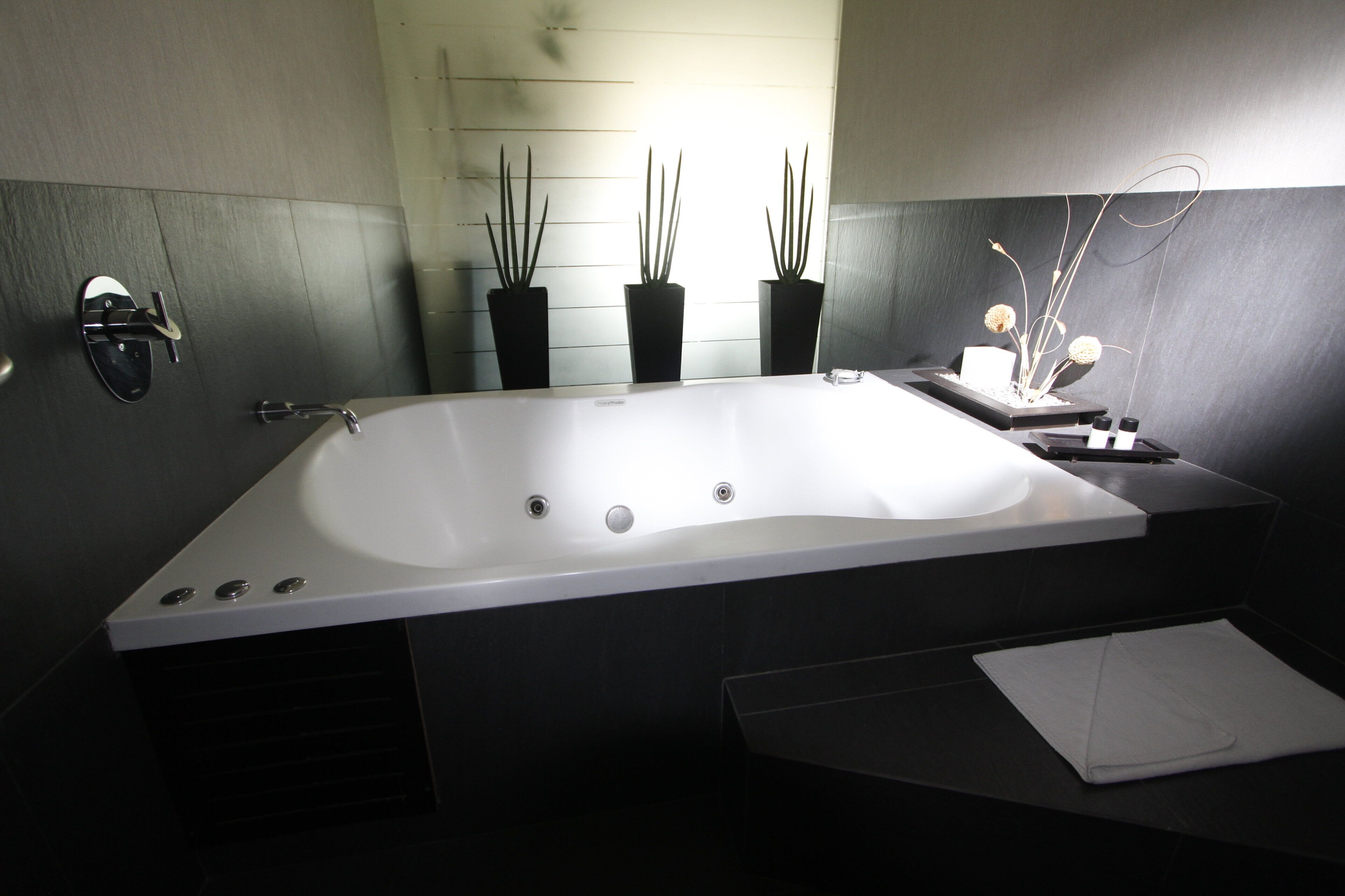 A modern bathroom with a large bathtub, a shower, and three potted plants.