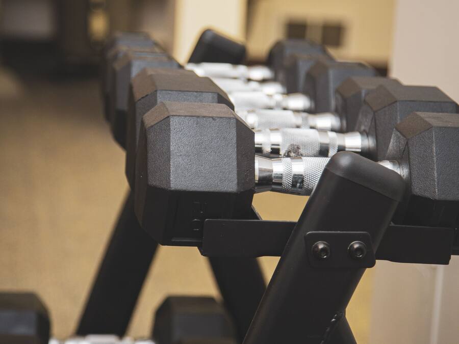 A row of black dumbbells on a rack in a gym.