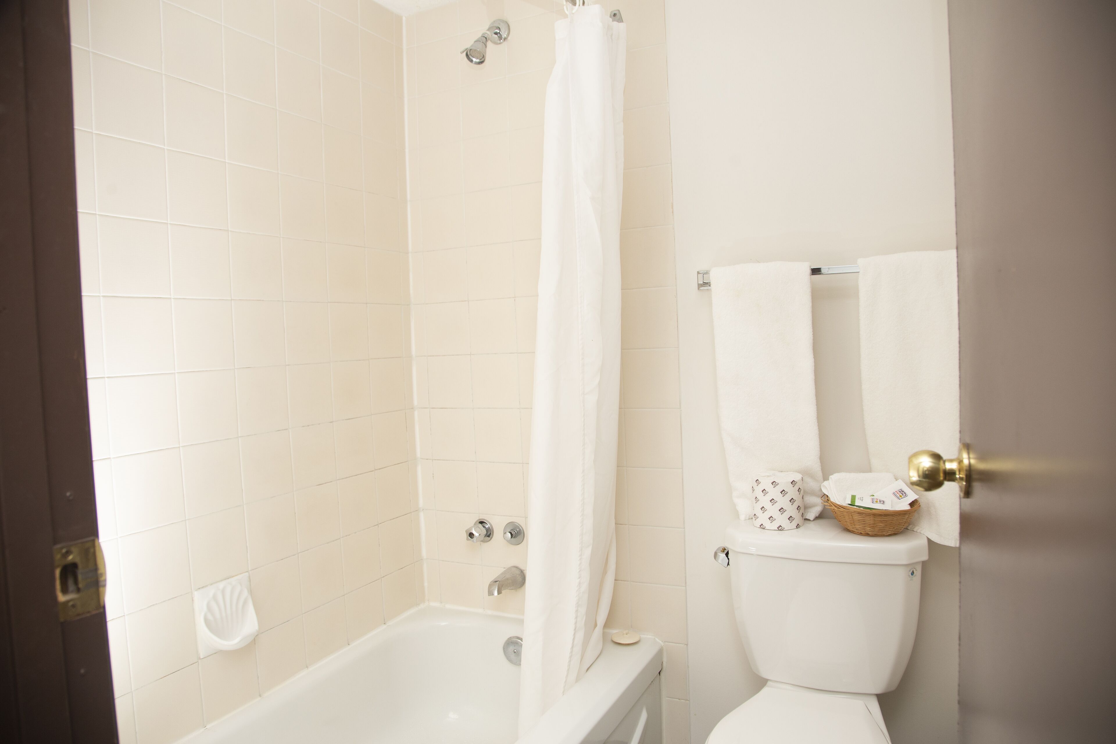 A bathroom with a bathtub, toilet, and a shower curtain.