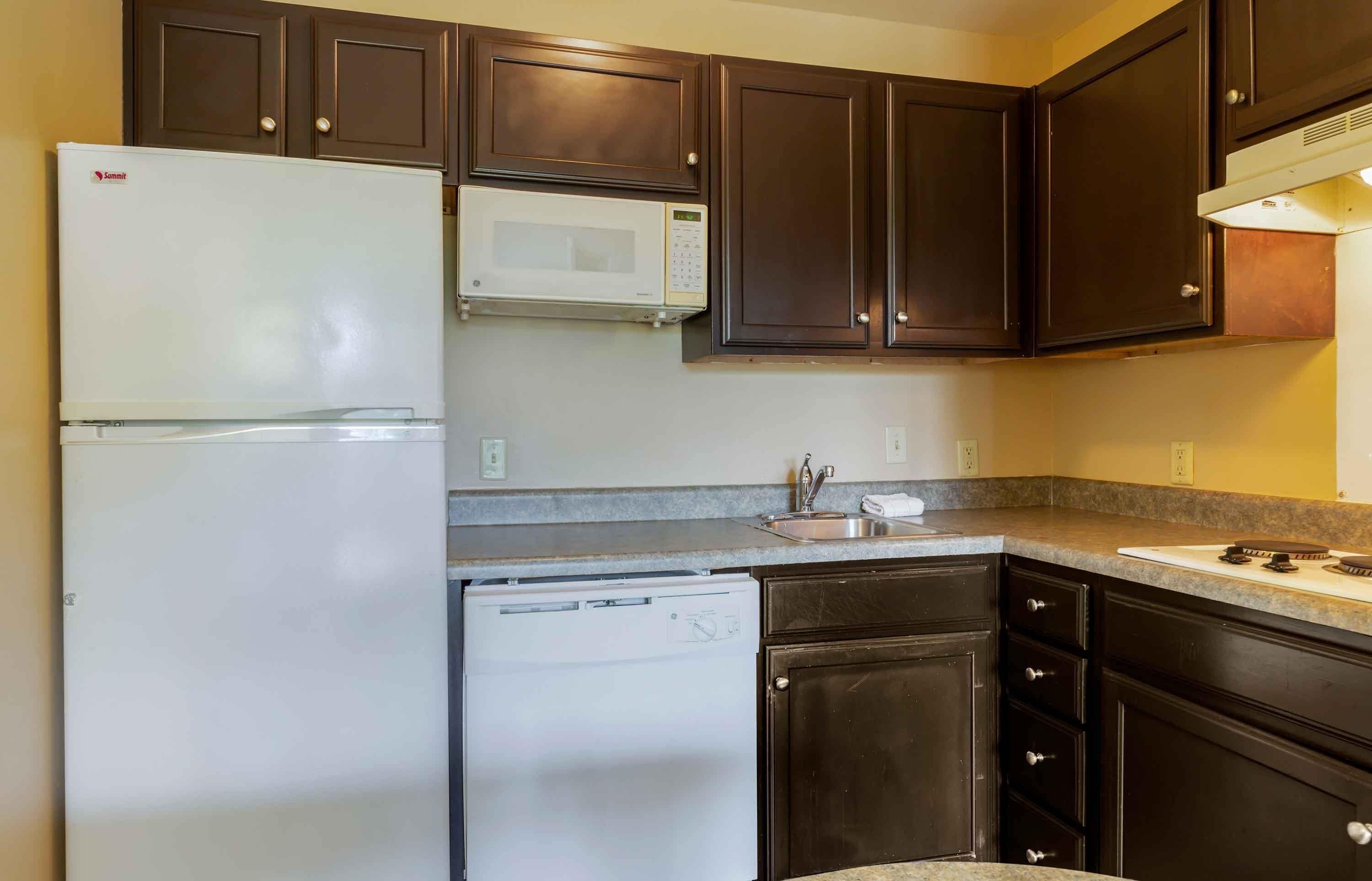 Fridge, microwave, stovetop, toaster