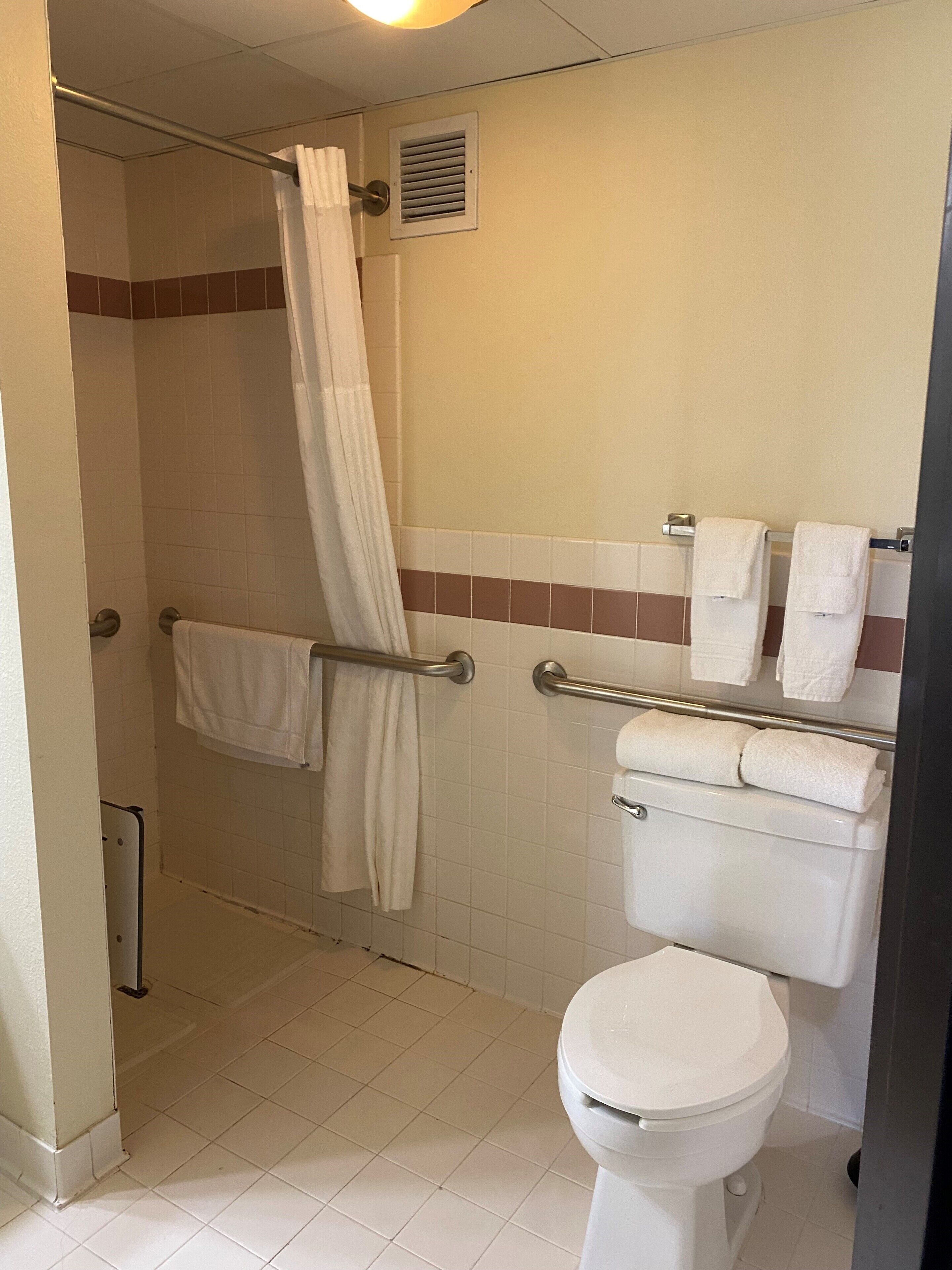 room, 1 king bed, accessible, non smoking | bathroom | combined shower/bathtub, free toiletries, hair dryer, towels