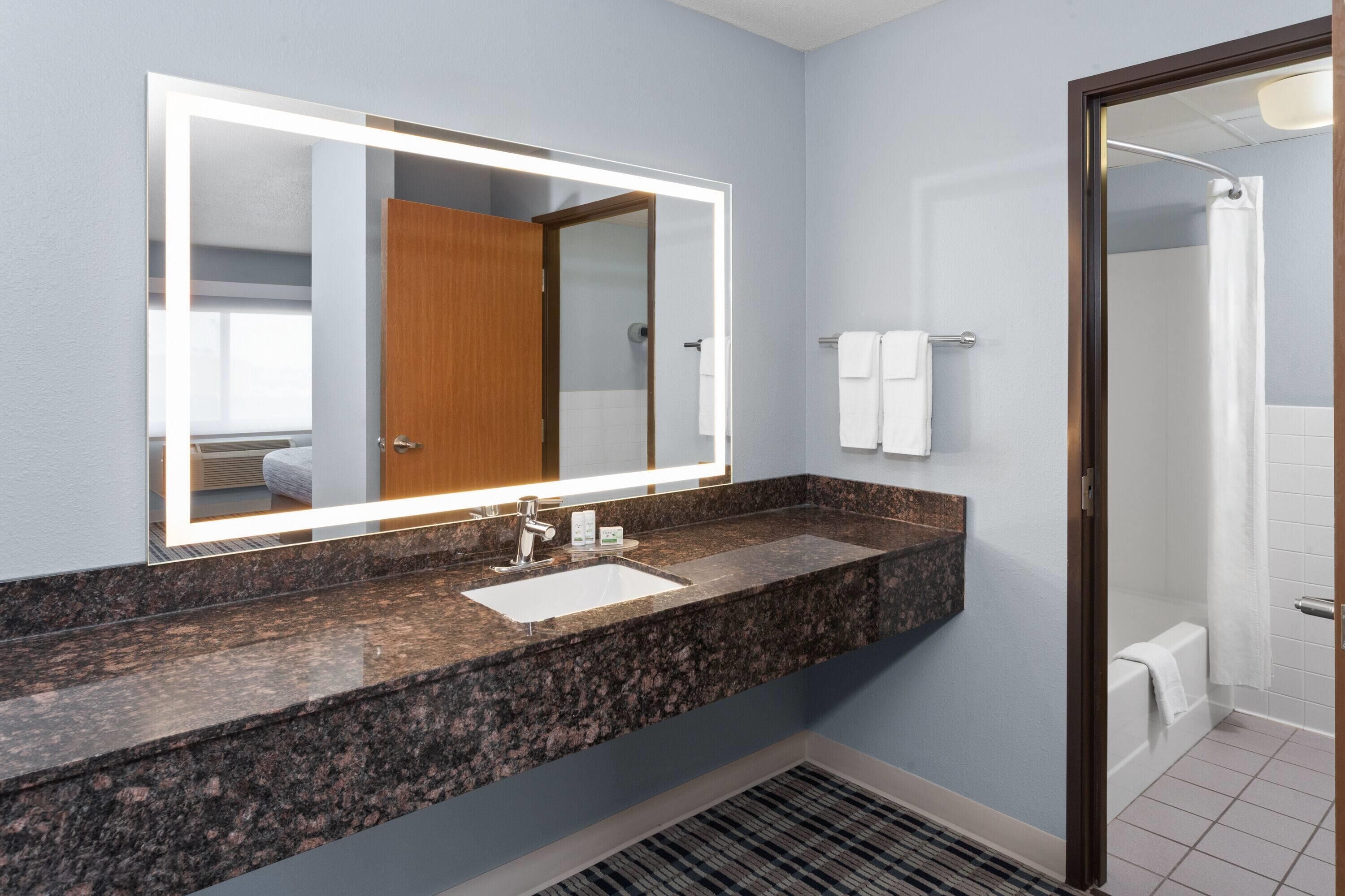 premier suite, 1 king bed, non smoking (one-bedroom) | bathroom | shower, free toiletries, hair dryer, towels