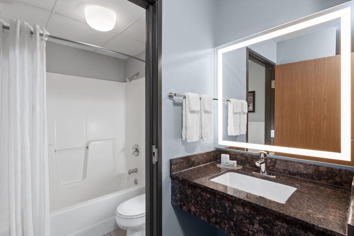 shower, free toiletries, hair dryer, towels