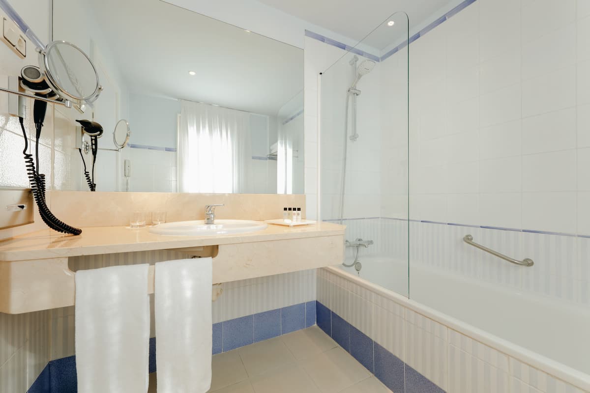 combined shower/bathtub, free toiletries, hair dryer, bidet