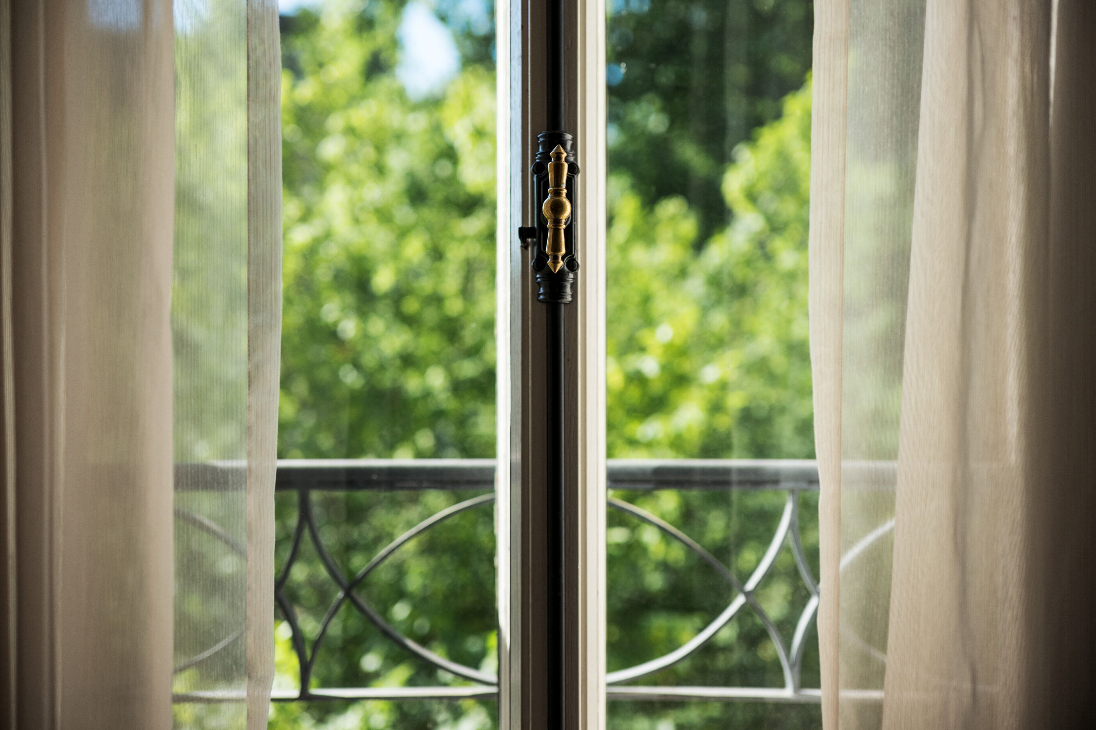A window with a view of greenery outside.