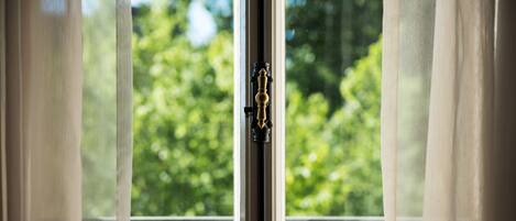 A window with a view of greenery outside.