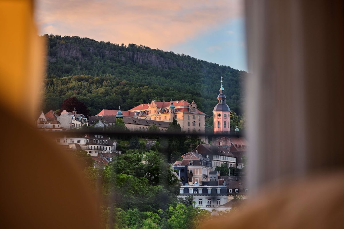 Vue depuis le balcon