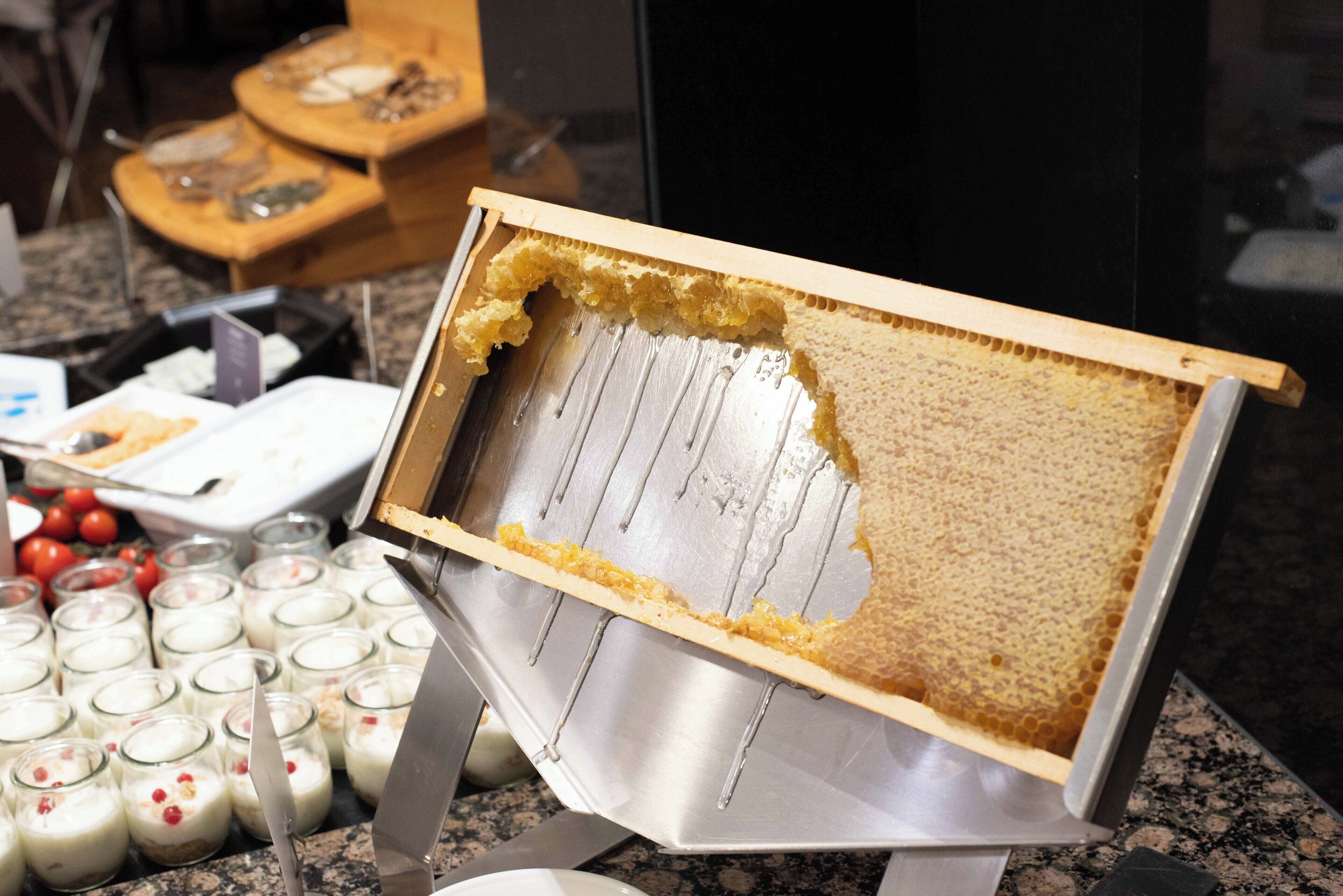 Montaje de bufé con diversos alimentos y una exhibición de panales.