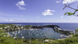 Un puerto deportivo con numerosas embarcaciones amarradas, rodeado de edificios y vegetación.