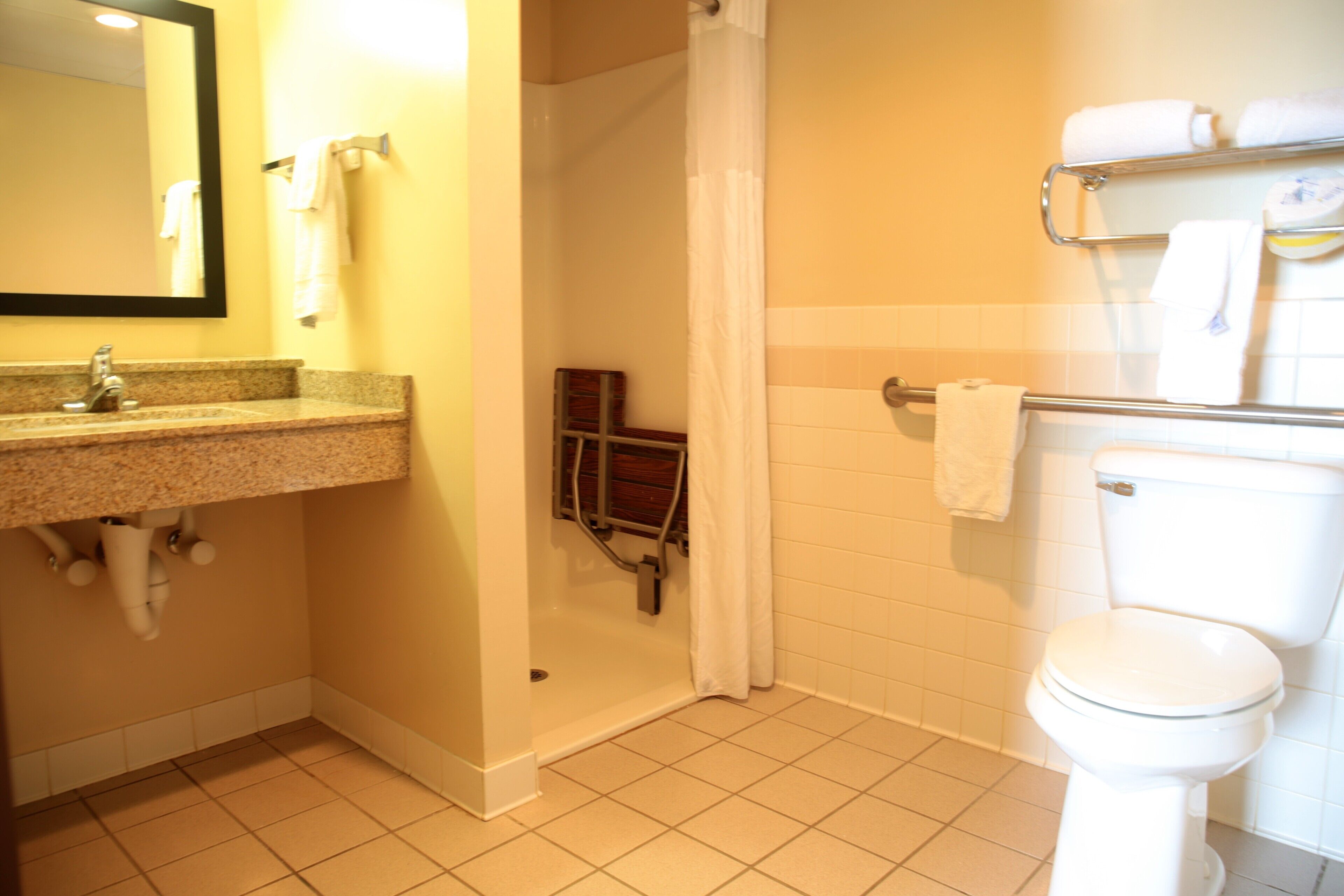 A bathroom with a sink, mirror, shower, and toilet.