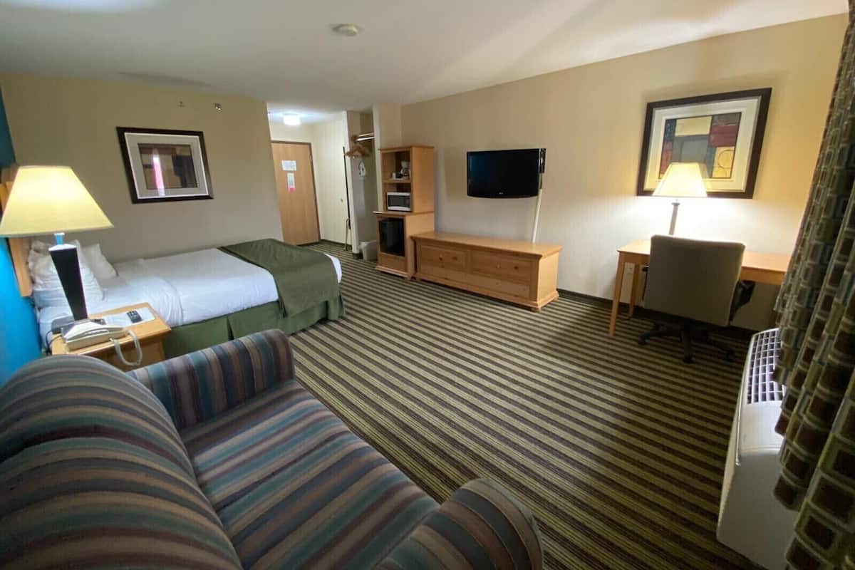 A hotel room with a bed, a striped sofa, a desk with a chair, a television, and a lamp.