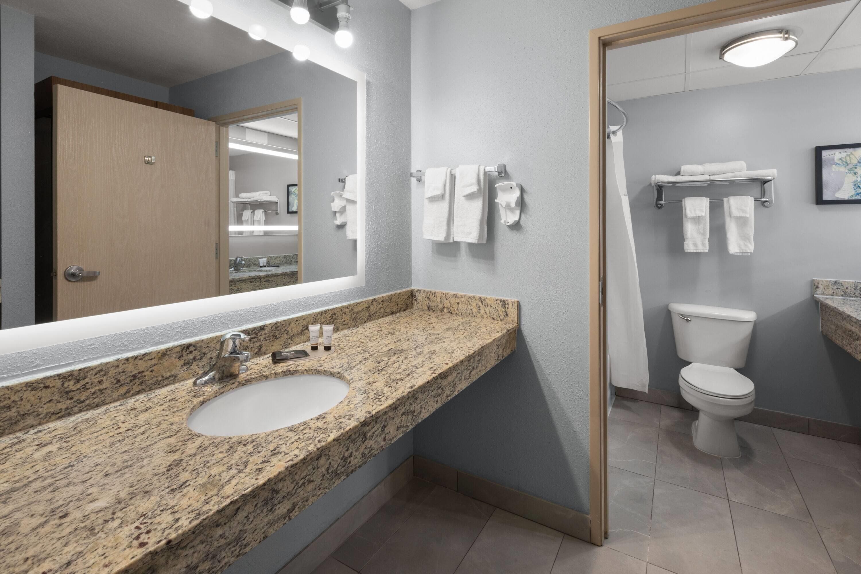 Baño con lavamanos de encimera de granito, espejo, inodoro y zona de ducha.