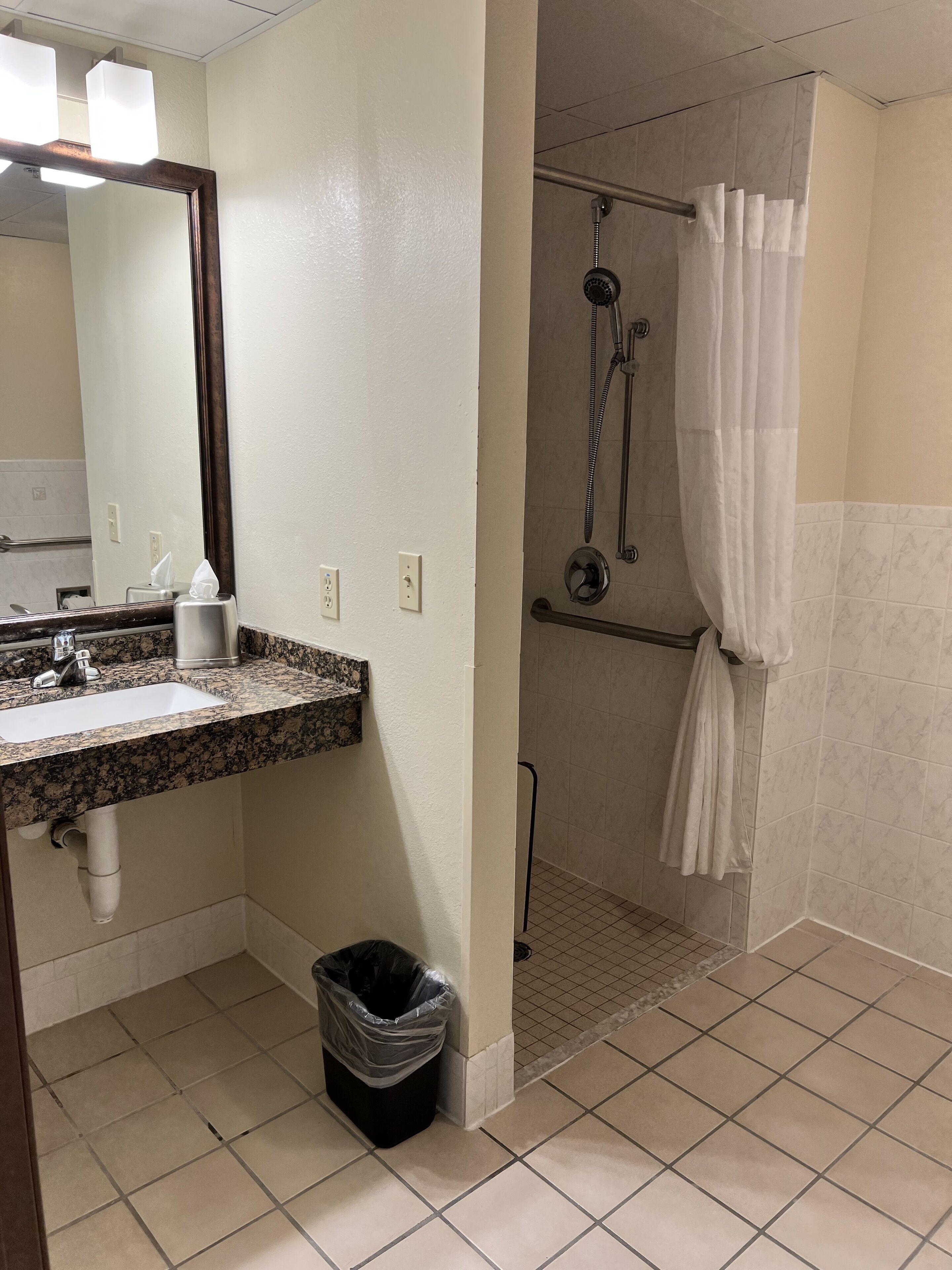 A bathroom with a sink, mirror, shower, and toilet.