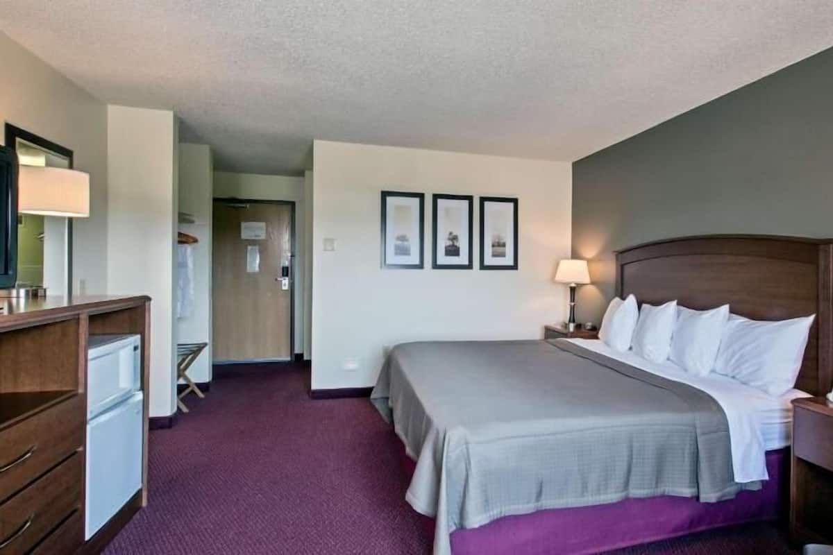 A hotel room with a bed, bedside tables, a desk, a chair, a television, and framed pictures on the wall.
