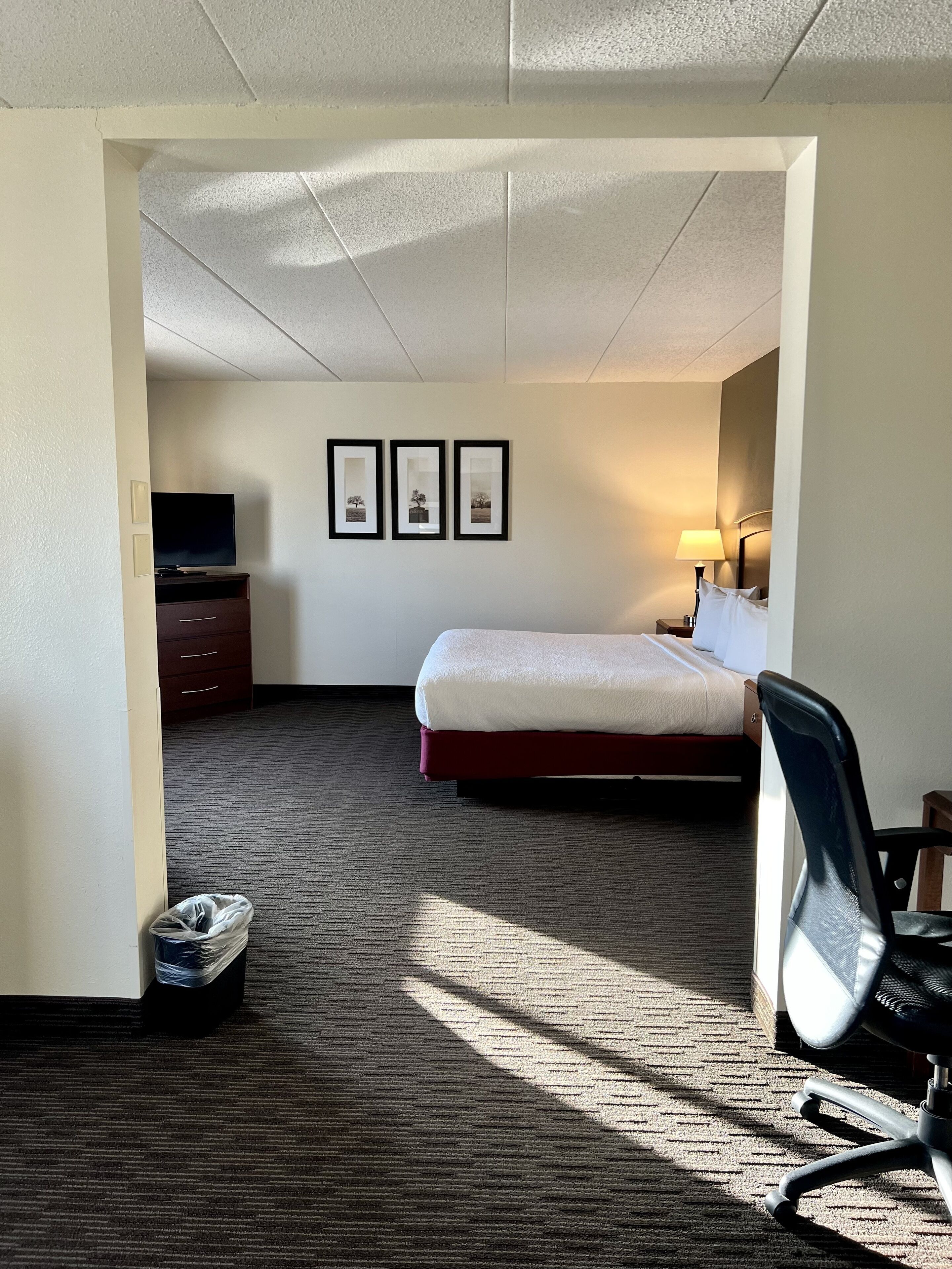 superior suite, 1 king bed, non smoking (one-bedroom) | desk, blackout curtains, soundproofing, iron/ironing board