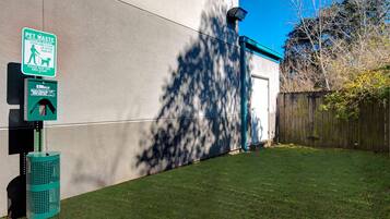 Prestations adaptées aux animaux de compagnie