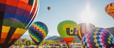 A field of colorful hot air balloons with a clear sky and mountains in the background.