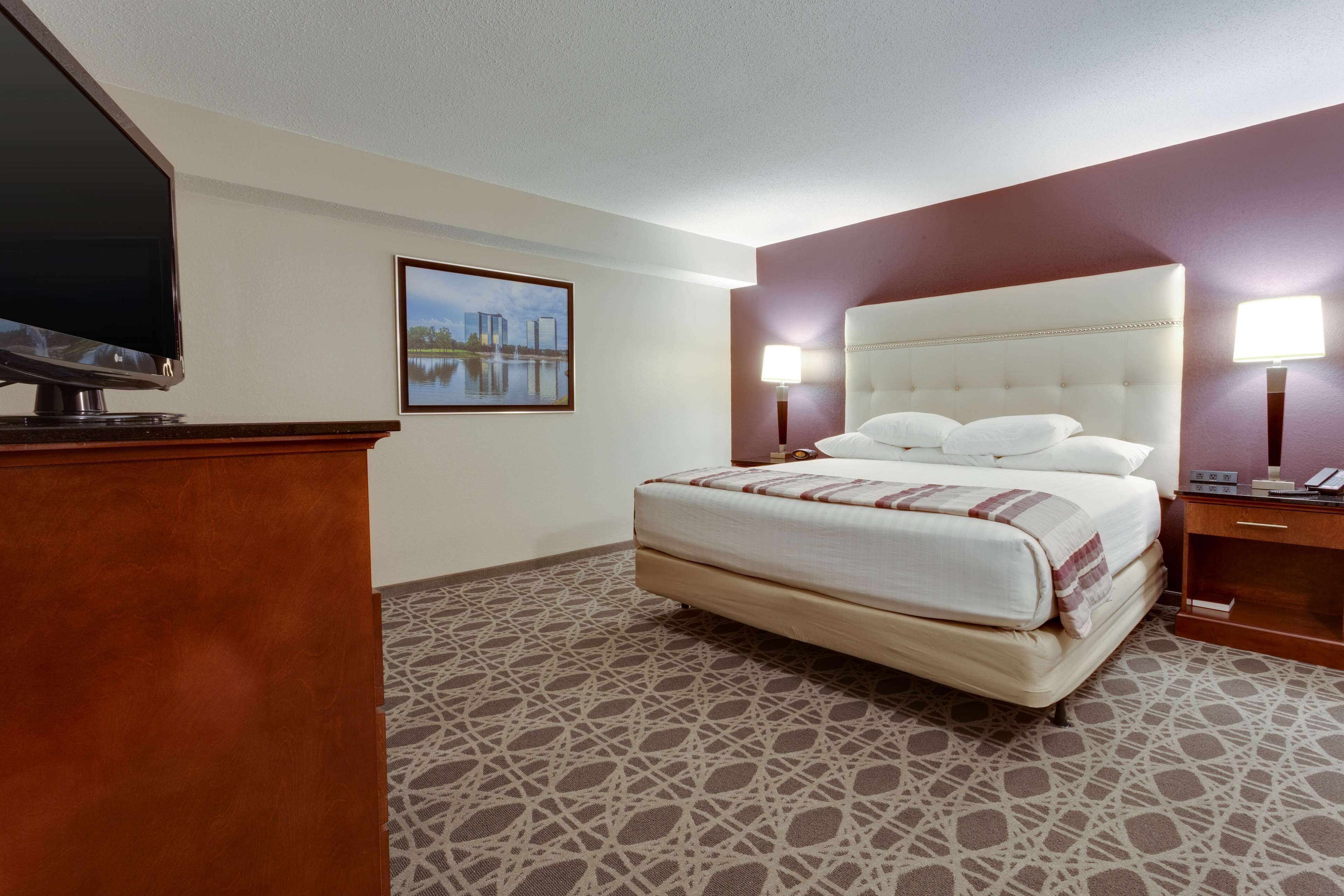 A hotel room with a large bed, a TV, a framed picture on the wall, and a patterned carpet.