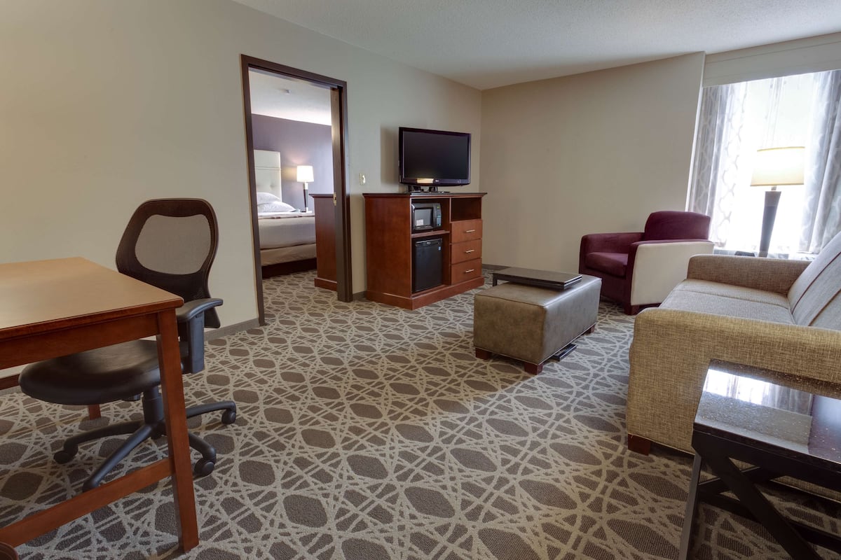 A hotel room with a bed, a desk, a television, a sofa, and a patterned carpet.