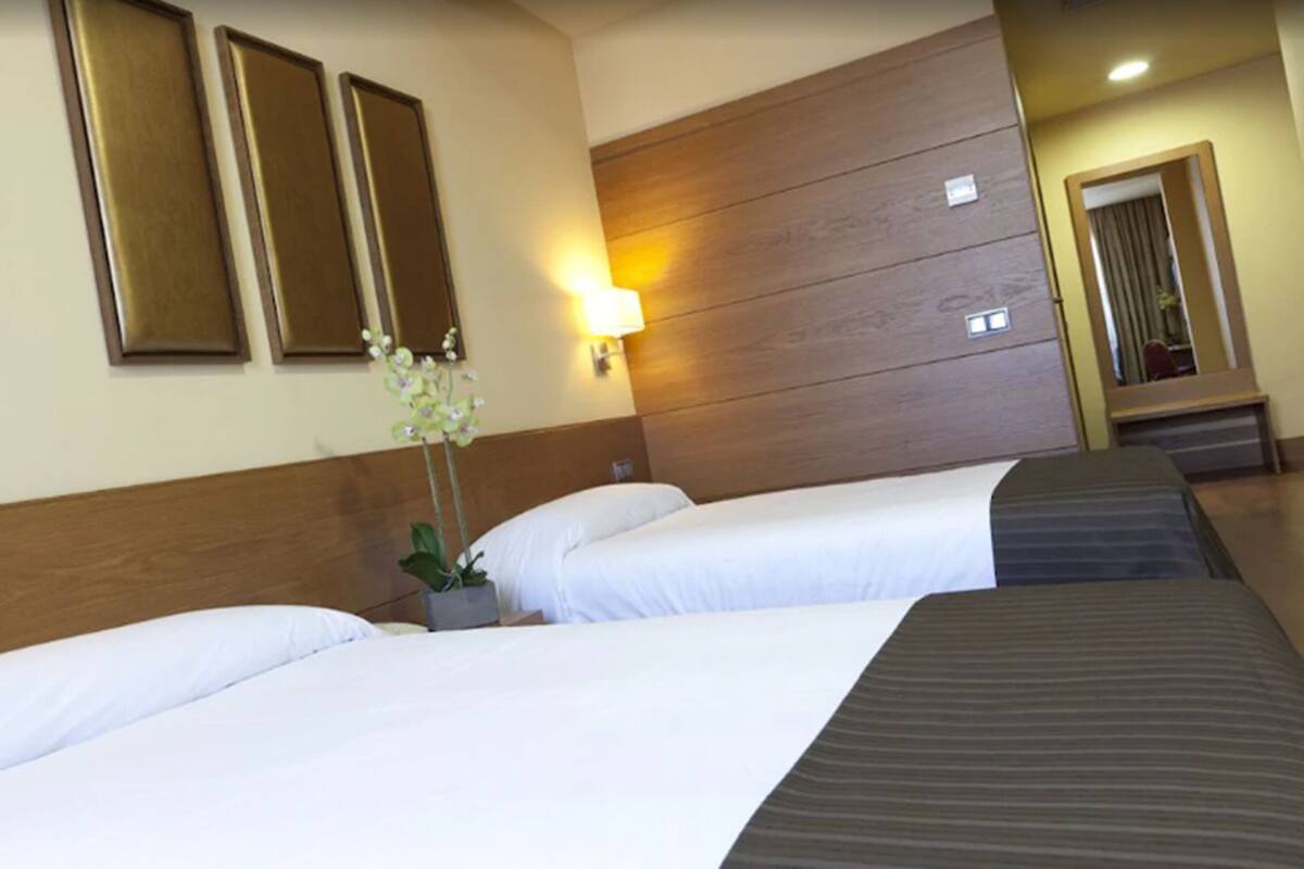Habitación de hotel con dos camas, cabecera de madera, espejo montado en la pared y una planta en maceta.