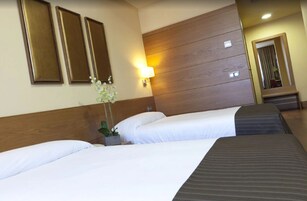 Camera d'albergo con due letti, una testiera in legno, uno specchio fissato alla parete e una pianta in vaso.