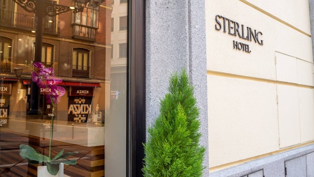 Fasaden på Sterling Hotel, med en tydlig vy över entrén och en liten grön växt framför.