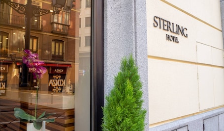 The exterior of the Sterling Hotel with a clear view of the entrance and a small green plant in front.