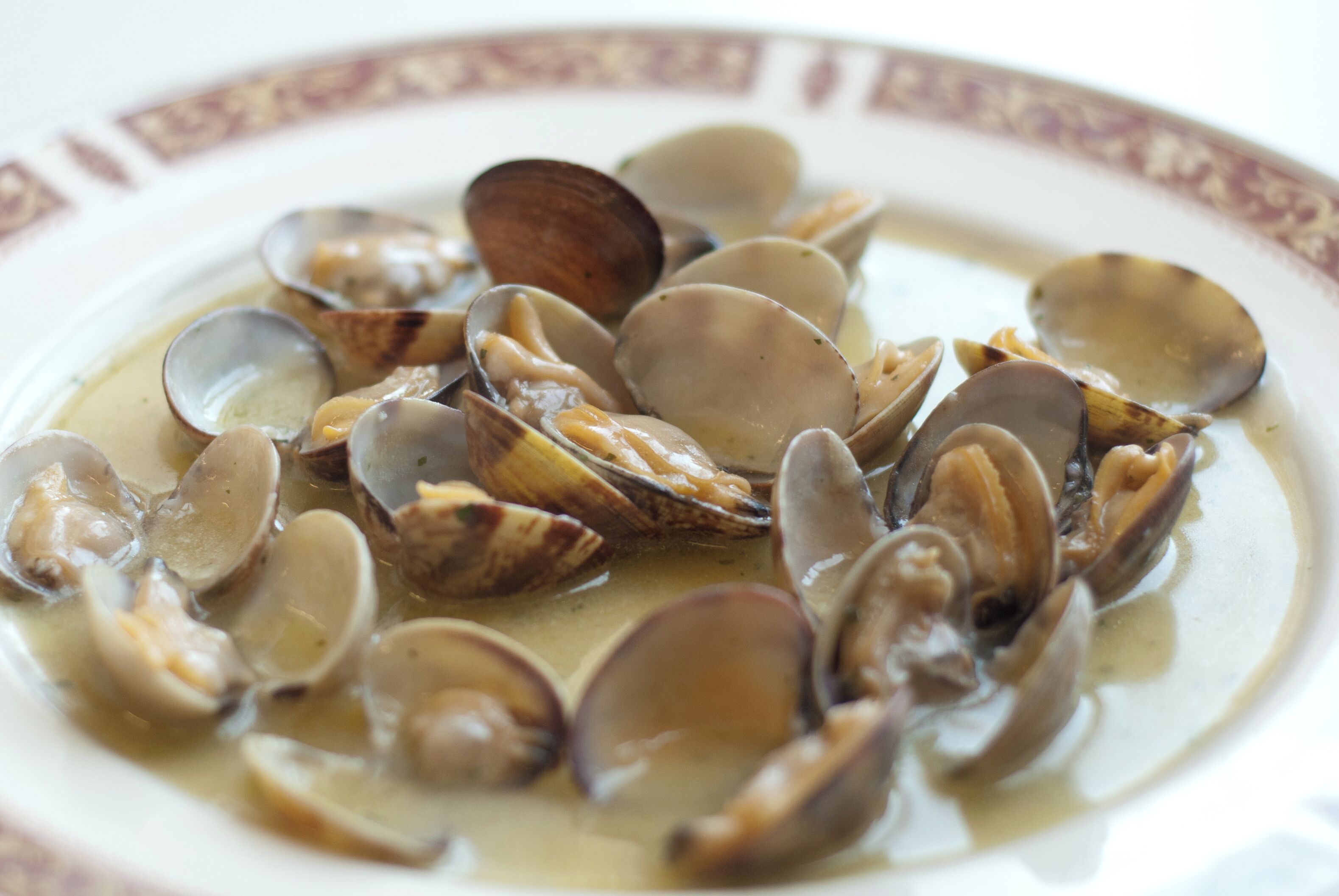 Un plato de almejas en salsa cremosa.