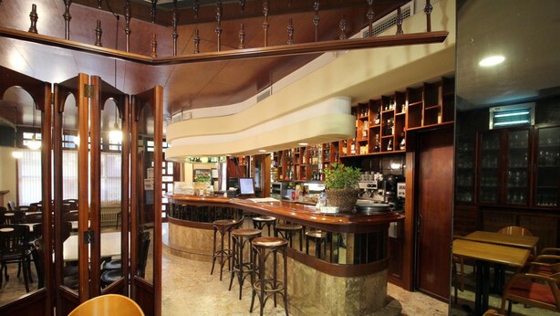 Un espace bar doté d’un comptoir incurvé, de tabourets et d’une grande plante. La zone réservée aux clients comprend des chaises et des tables en bois.
