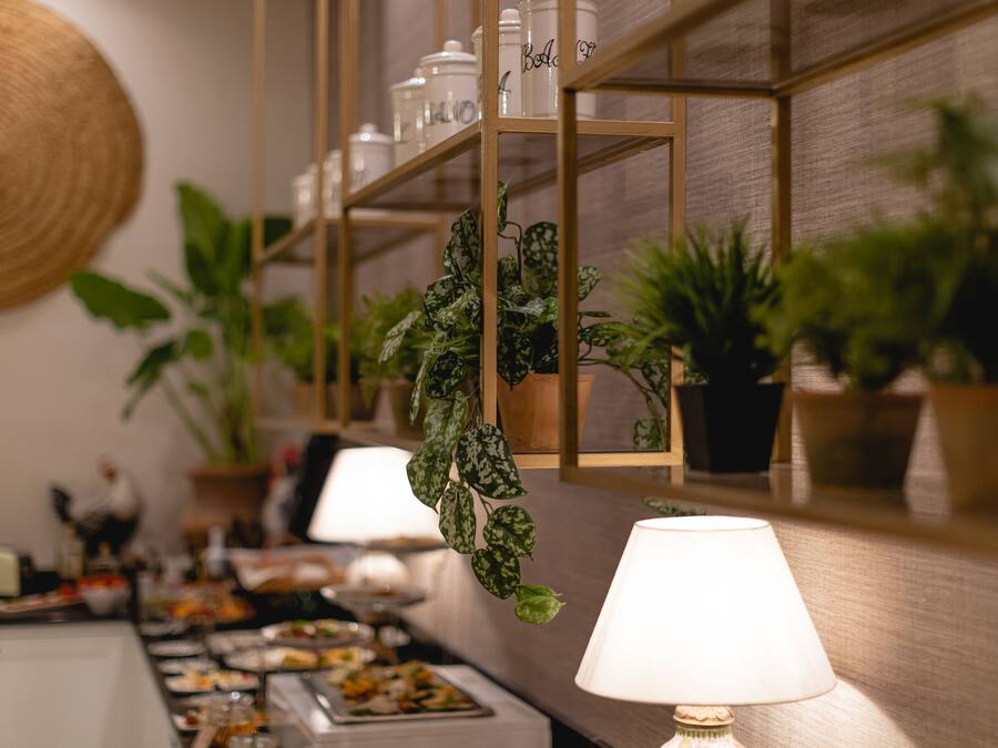 A buffet area with a variety of dishes, a hanging plant, and a lamp on a table.