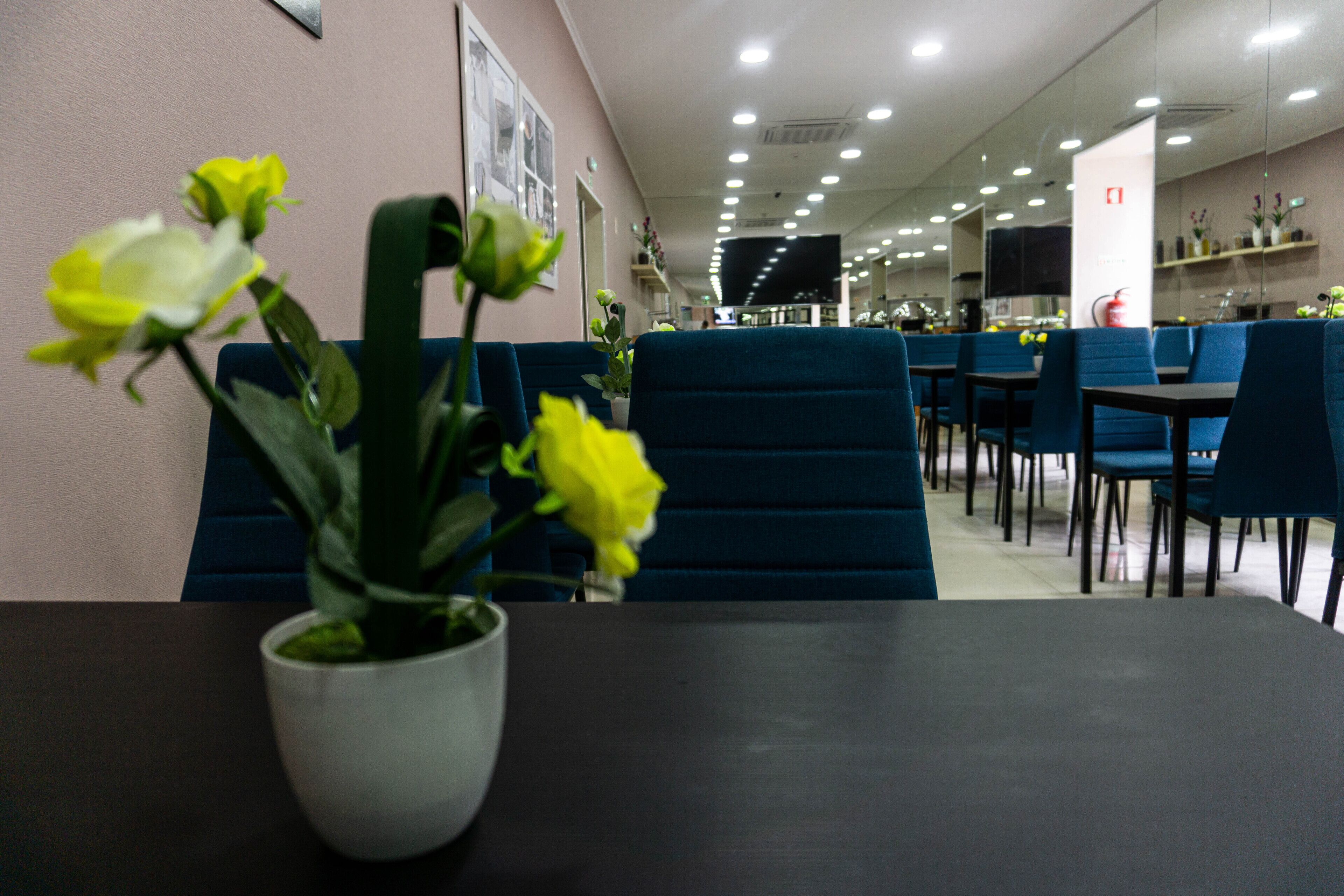 A restaurant with blue upholstered booths and a potted plant with yellow flowers on a table.