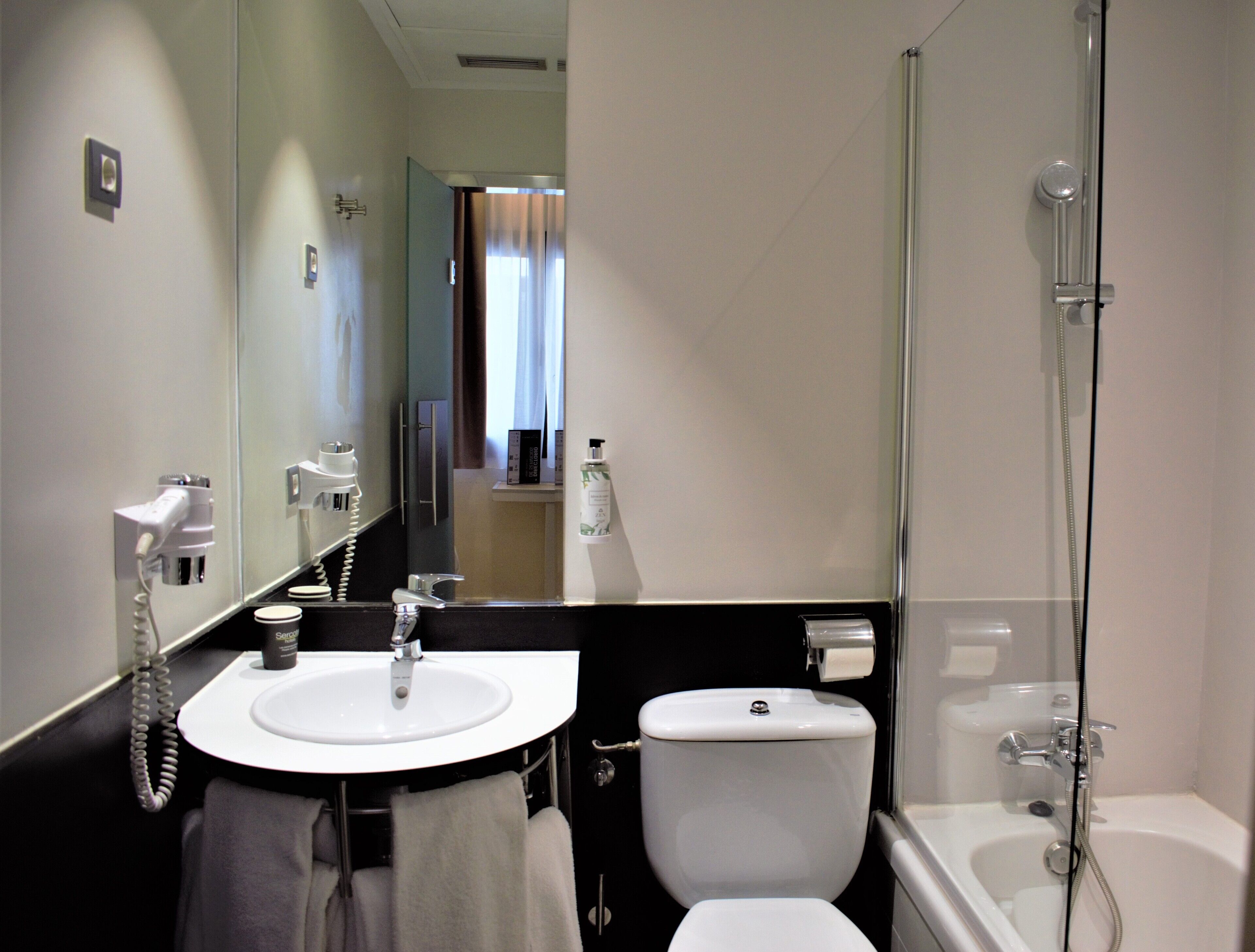 hydromassage showerhead, free toiletries, hair dryer, bidet