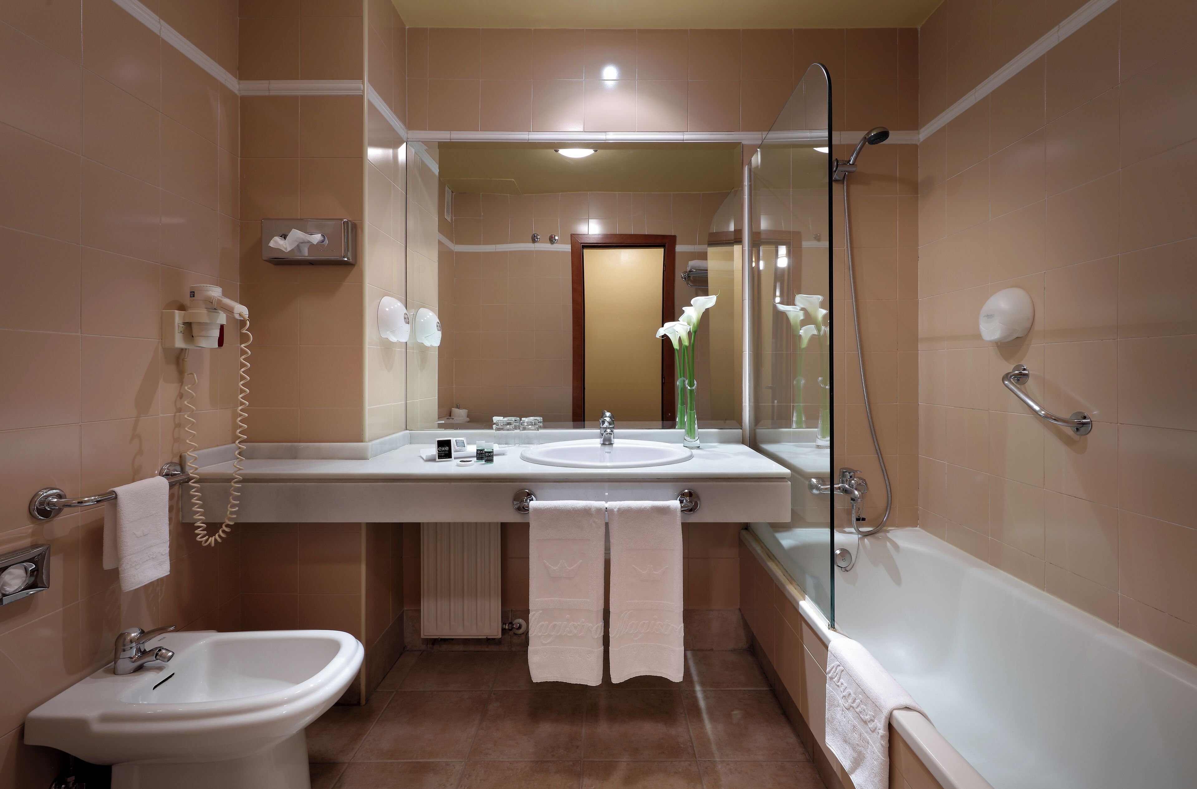 Photo - Exe Hotel El Magistral