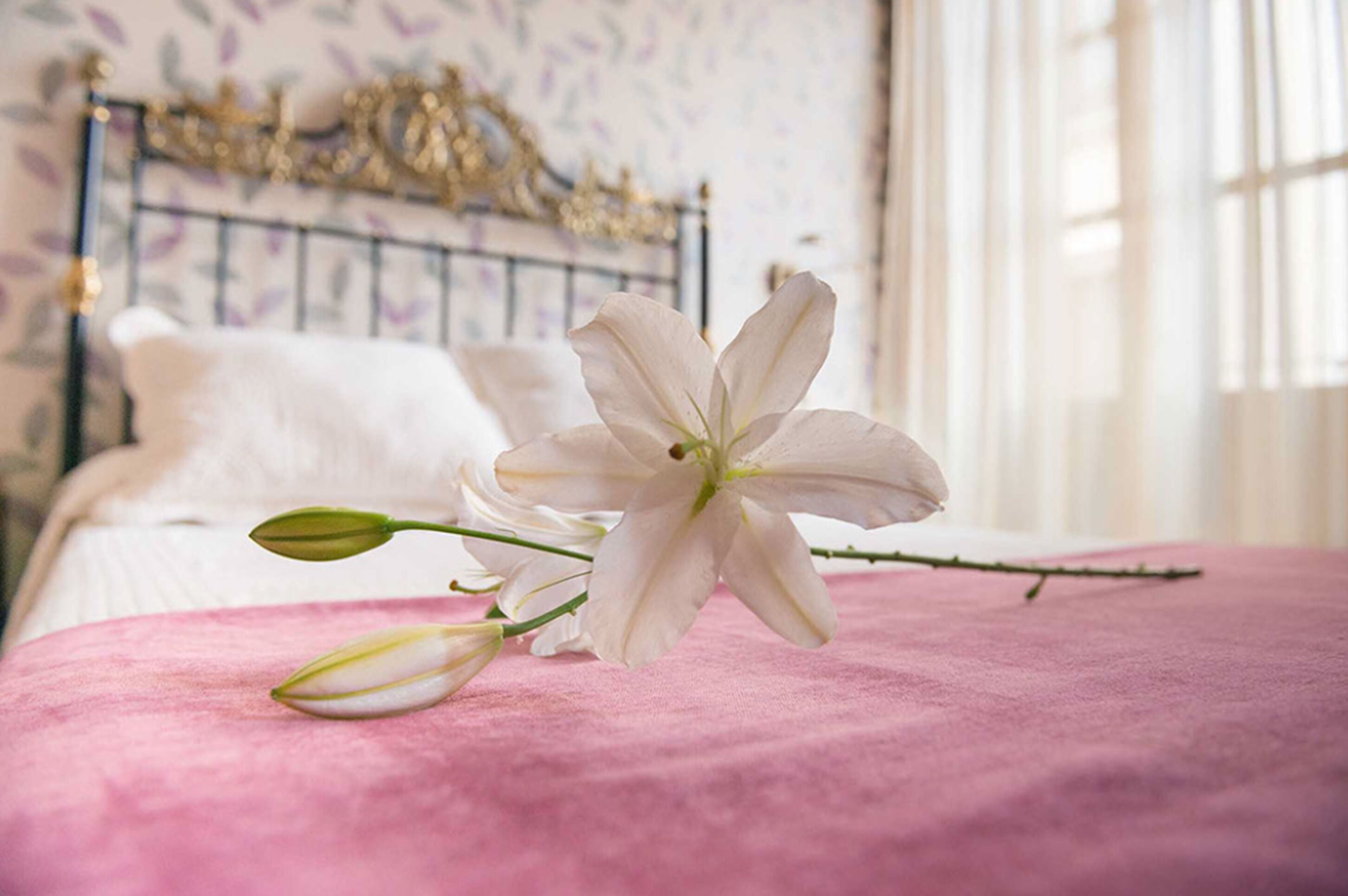 triple room | in-room safe, desk, free wifi, bed sheets