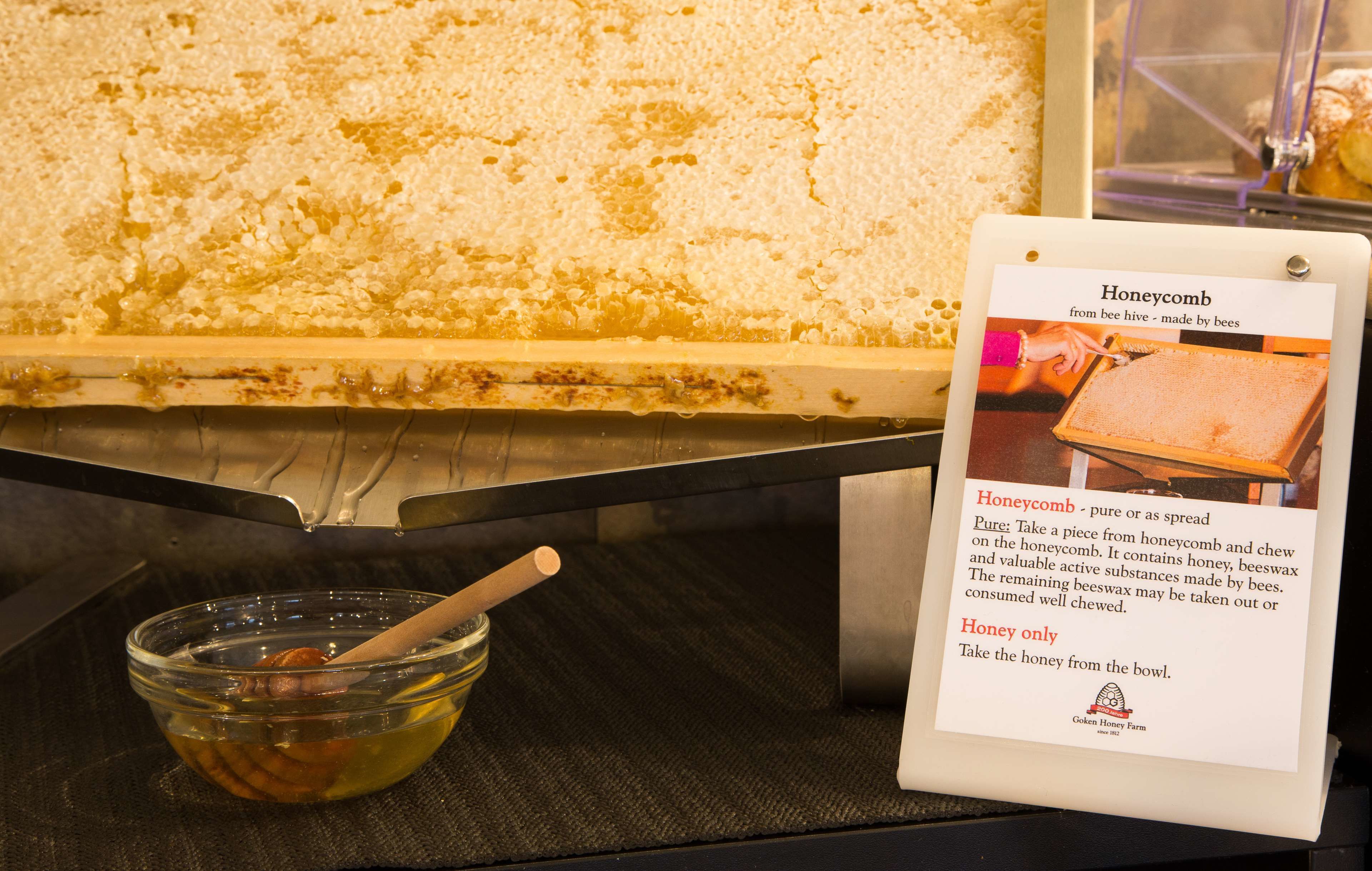 Foto - Best Western Plus CHC Florence