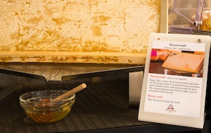 A honeycomb display with a sign explaining its origin and use. - Best Western Plus CHC Florence (Florence)
