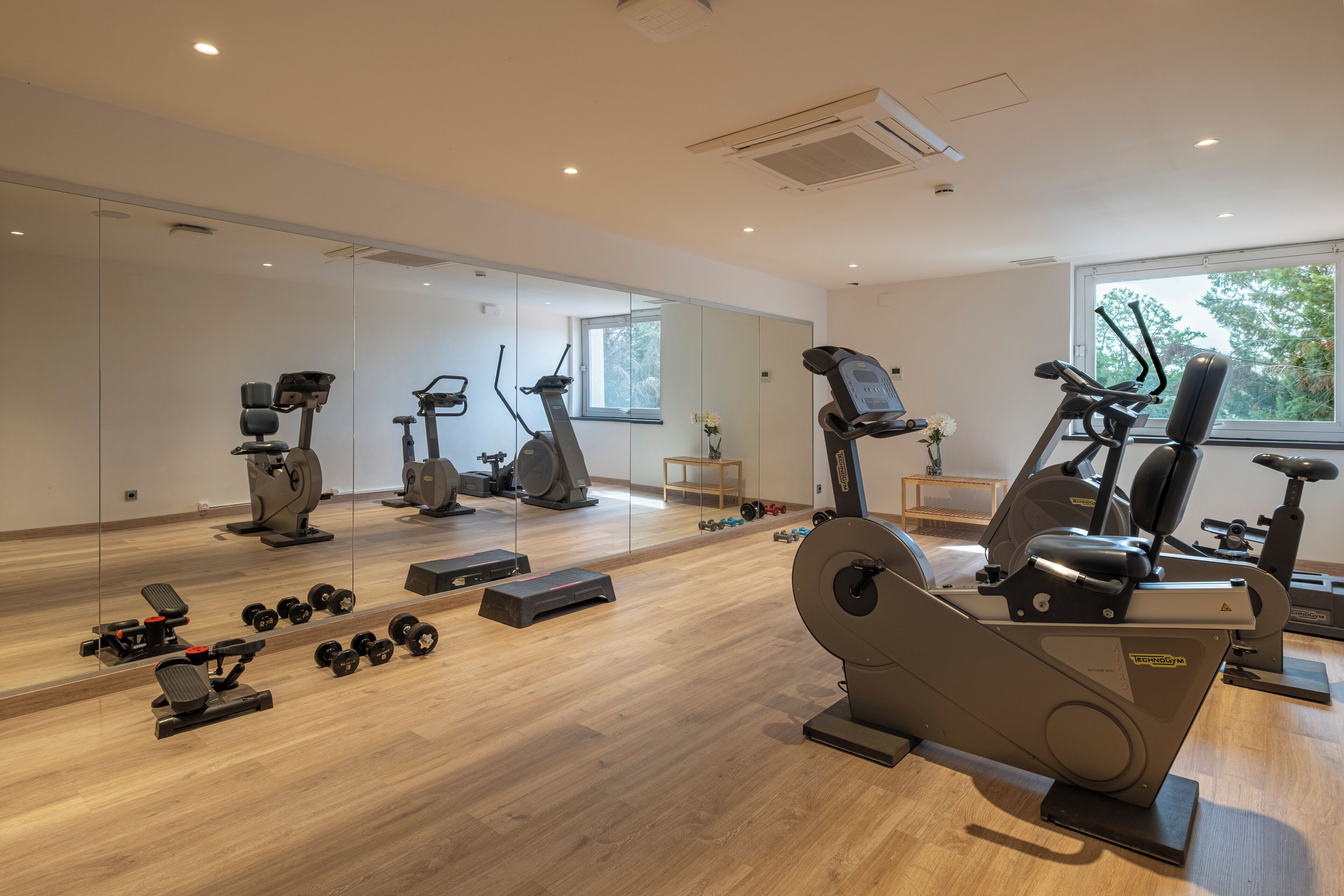 Un gimnasio moderno con varias máquinas de cardio, pesas libres y un espejo grande.
