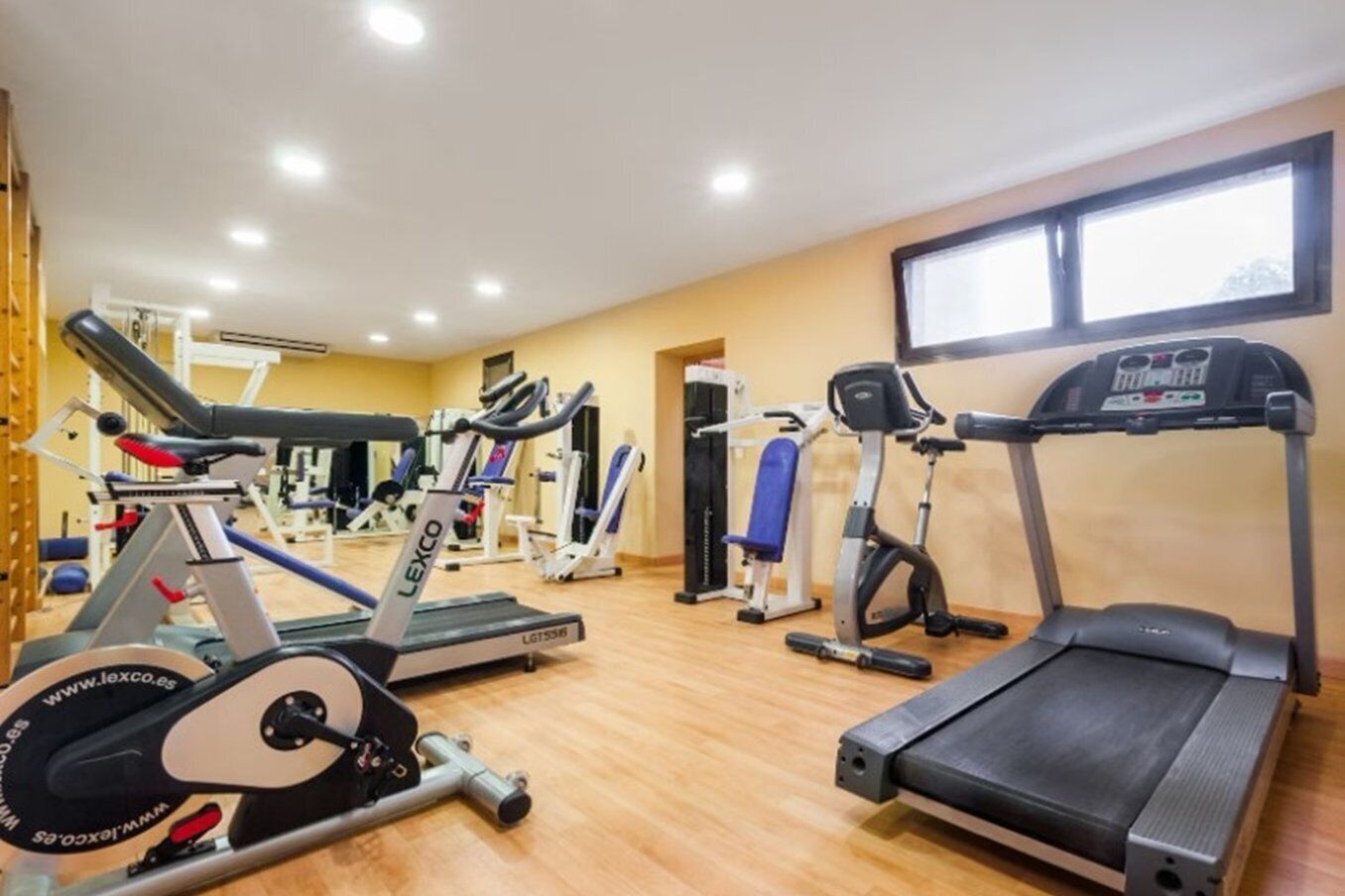 Un gimnasio con equipos de ejercicio variados, incluyendo cintas de correr, una bicicleta estática y máquinas de pesas.