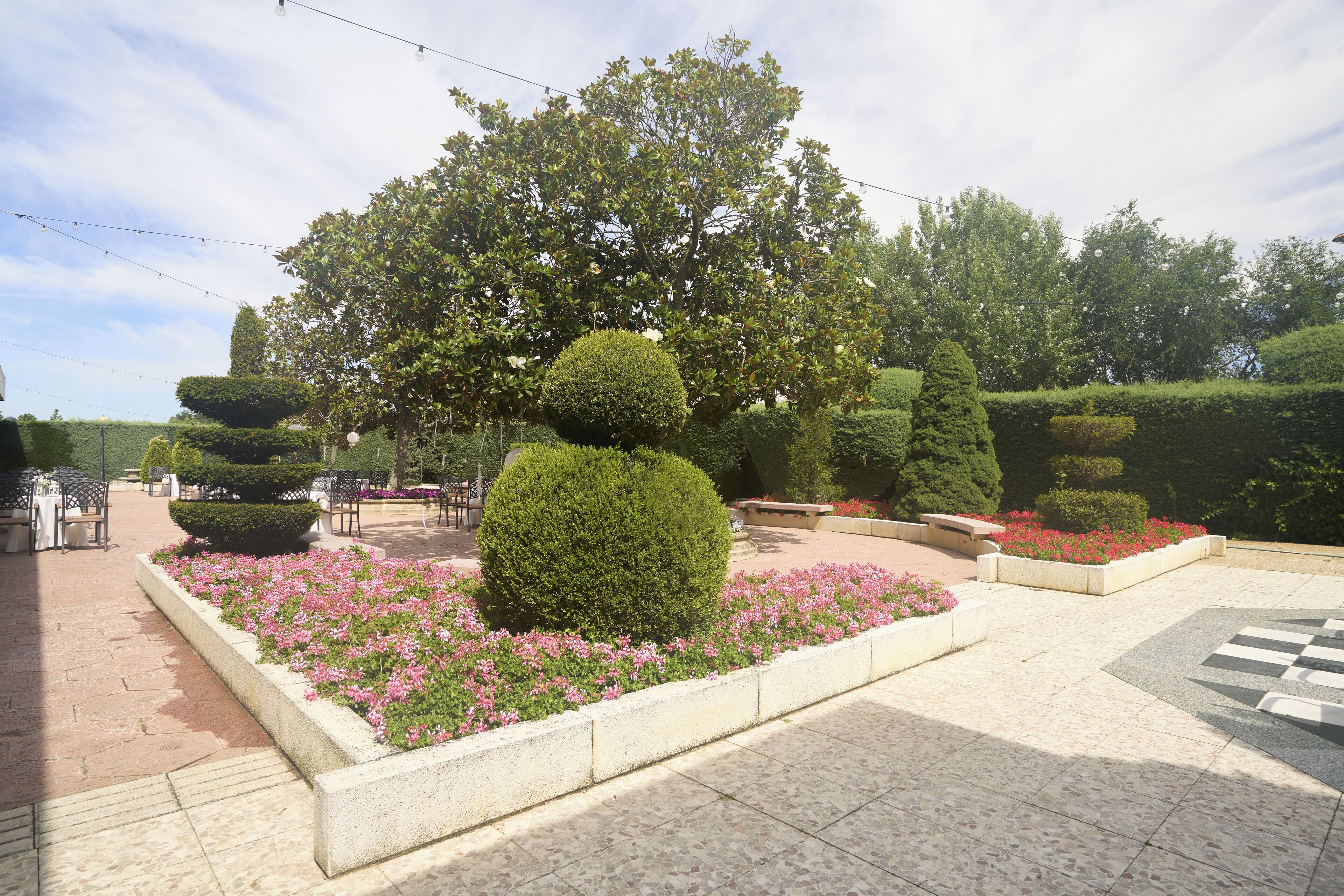 A landscaped garden with neatly trimmed hedges, a variety of shrubs, and a paved walkway.