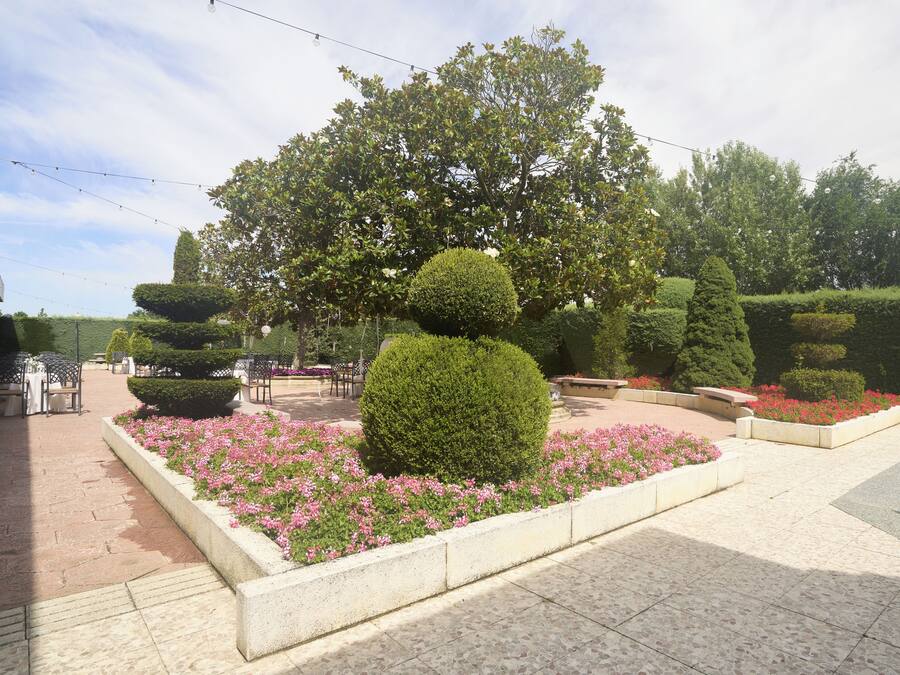Un jardín ajardinado con setos bien cuidados, diversas arbustas y un camino pavimentado.