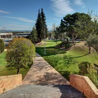 Un sendero pavimentado que atraviesa un área ajardinada con árboles y un cielo despejado.
