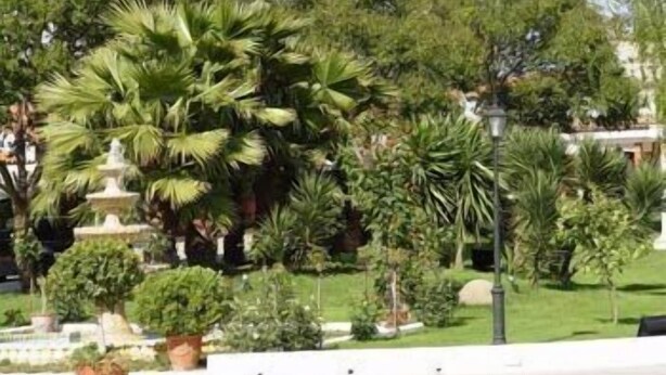 A well-maintained garden with a central fountain, surrounded by various types of greenery and trees. - Salvador Hotel (Bailen)
