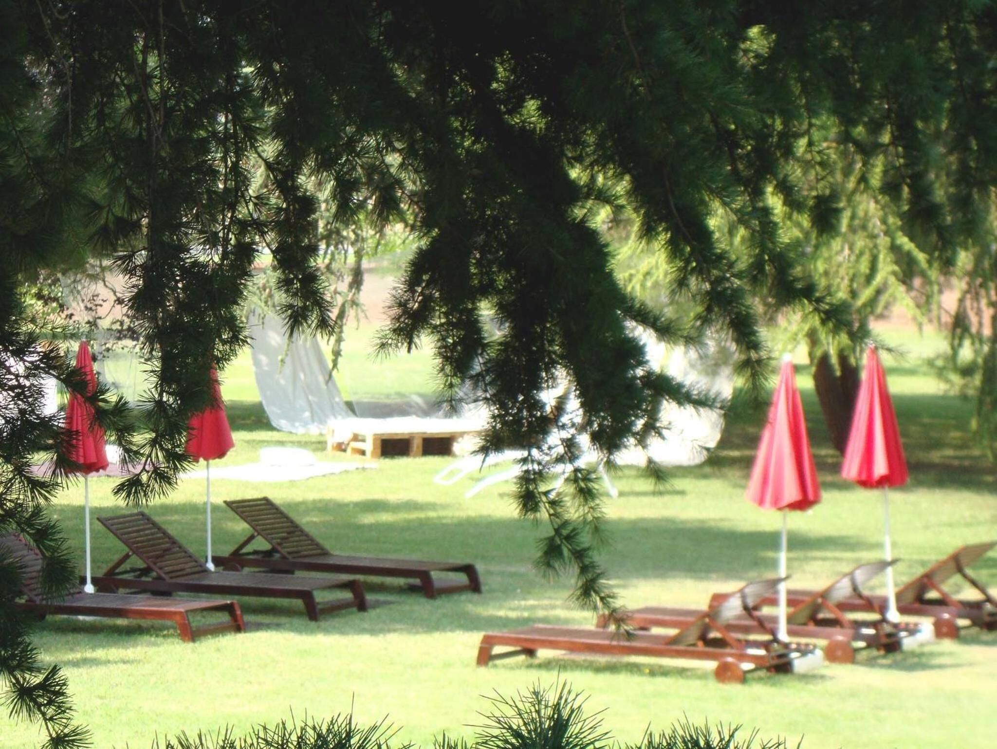 A poolside area with lounge chairs and red umbrellas, surrounded by pine trees.