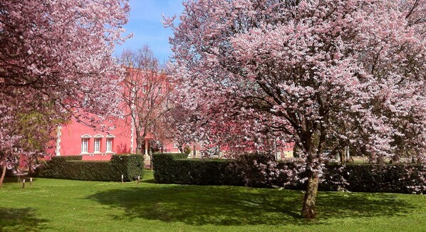 Stroll through the serene garden, surrounded by blooming cherry blossom trees and a beautifully maintained landscape.