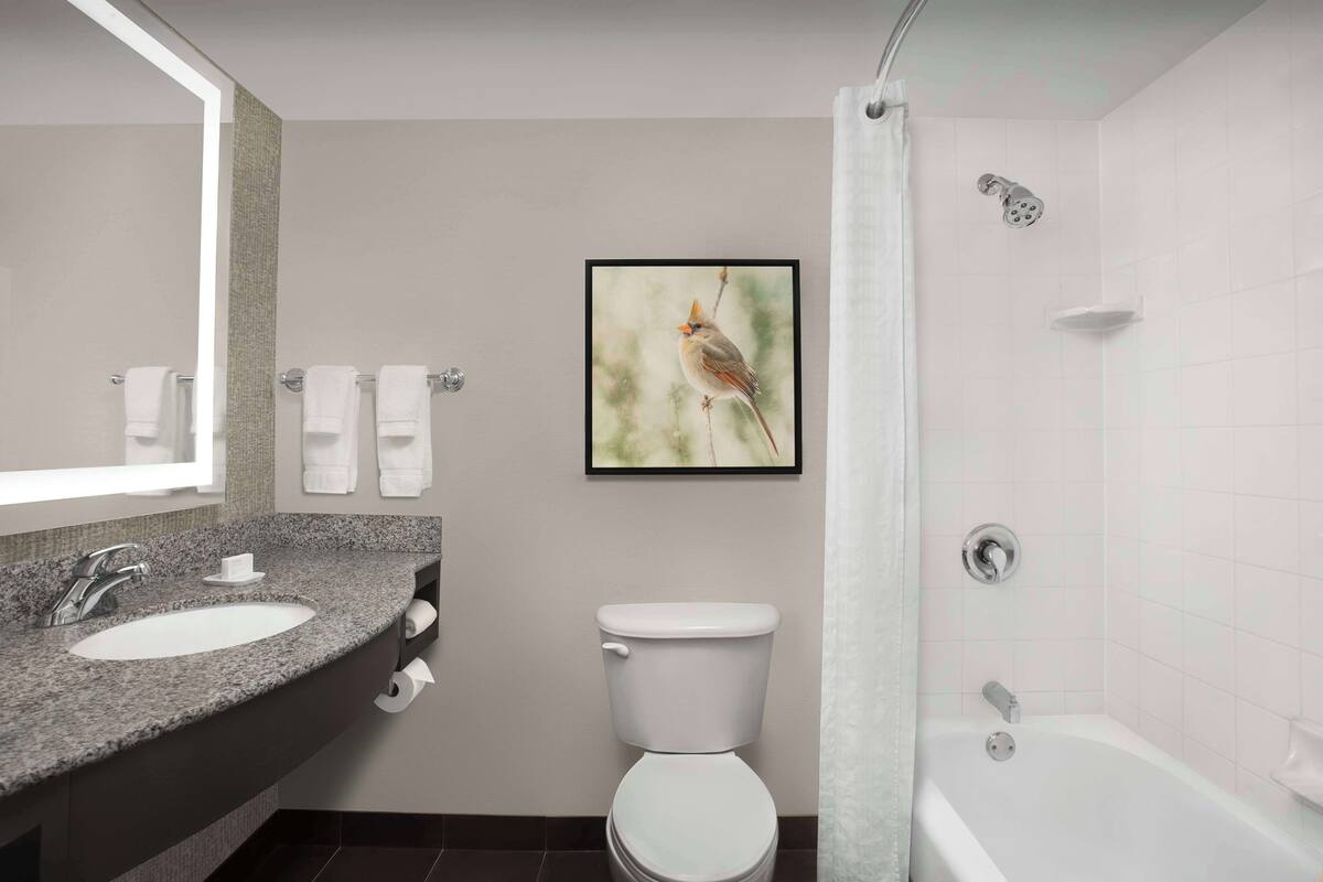 A bathroom with a granite countertop sink, a toilet, and a bathtub.