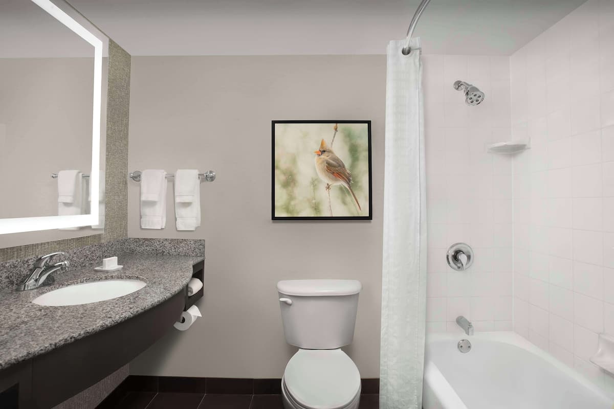 Bathroom shower