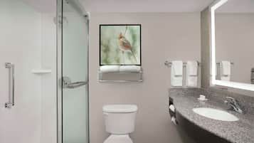 A modern bathroom with a glass shower enclosure, a white toilet, a granite sink, and a framed bird painting on the wall.