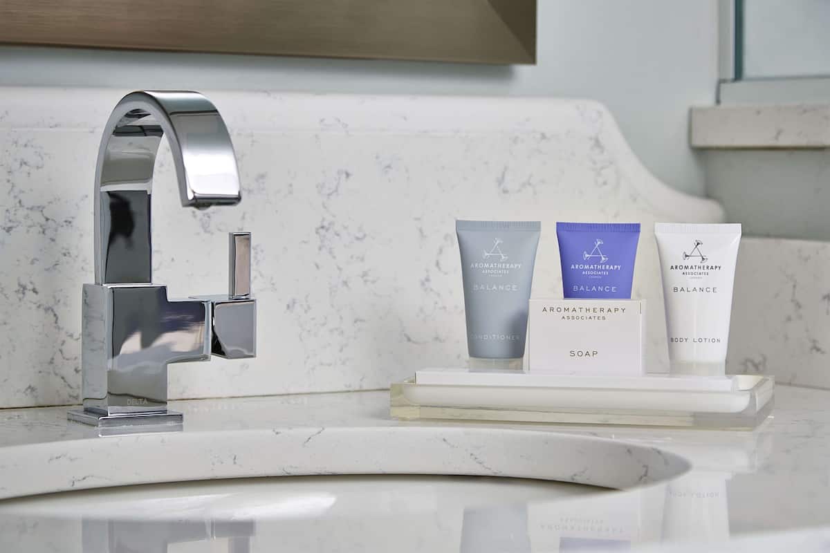 combined shower/bathtub, free toiletries, hair dryer, towels