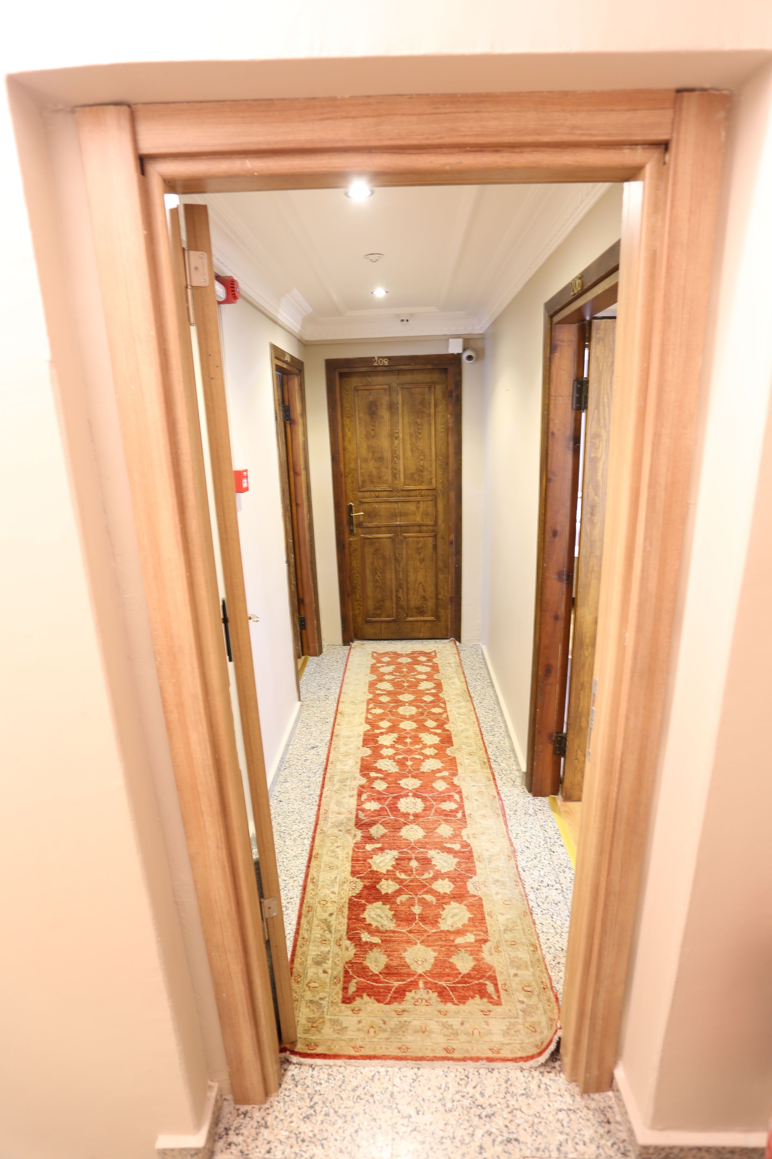 A hallway with a patterned carpet, wooden doors, and a light fixture on the ceiling.