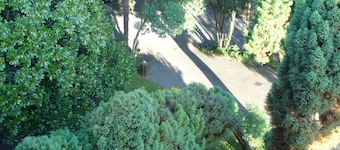 Hotel Alcazar